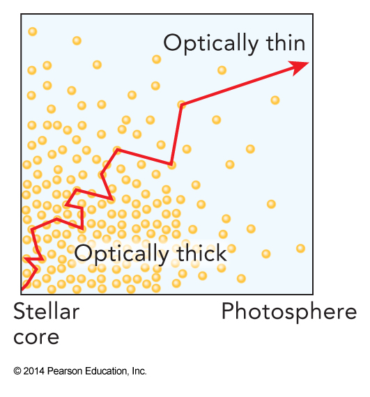 In the denser regions of a star, matter is so compressed that photons are absorbed, scattered, and emitted many times before they work their way toward the surface, where they can travel unimpeded. The arrow in the figure represents a photon emitted near the core of the star, interacting with many atoms in the central, optically thick region of the star, and eventually finding its way to the optically thin photosphere.